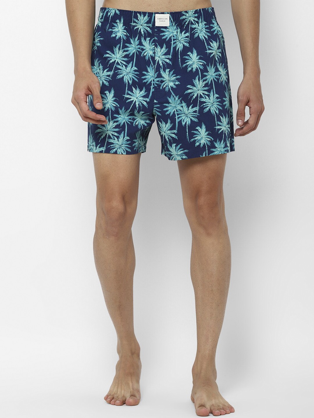 

AMERICAN EAGLE OUTFITTERS Men Navy Blue & White Printed Cotton Boxers
