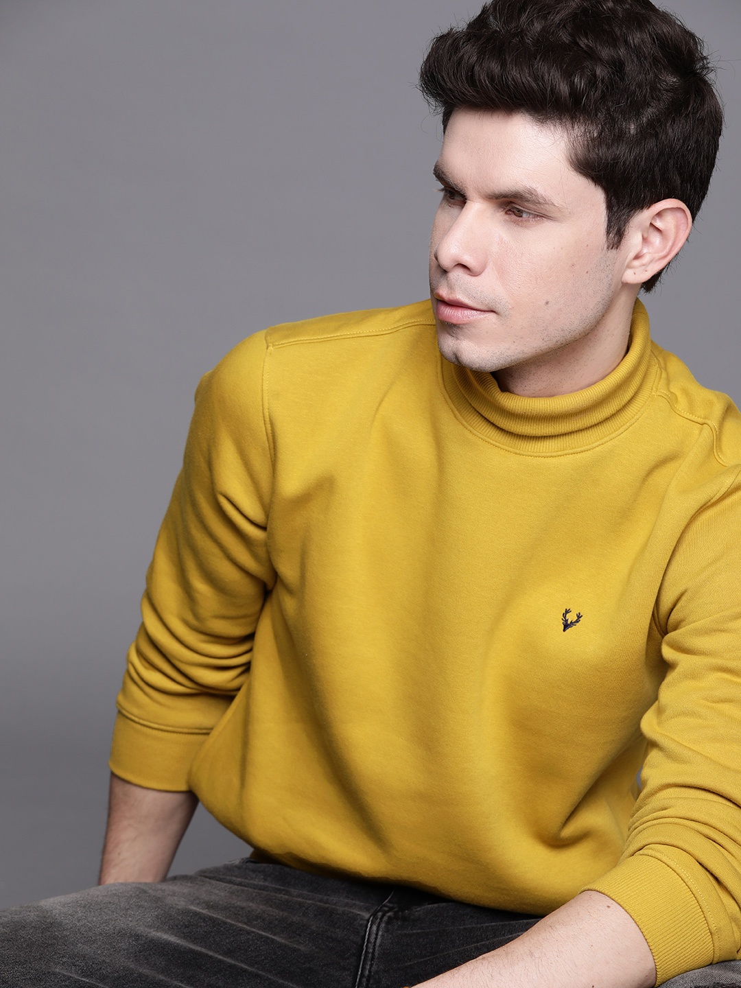 

Allen Solly Men Mustard Yellow Solid Turtle Neck Sweatshirt