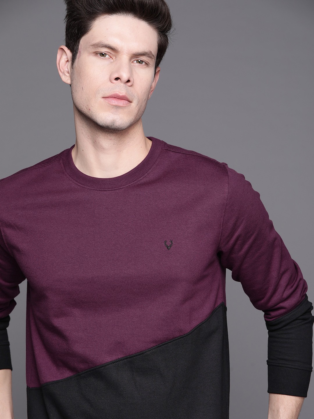 

Allen Solly Men Purple & Black Colourblocked Sweatshirt