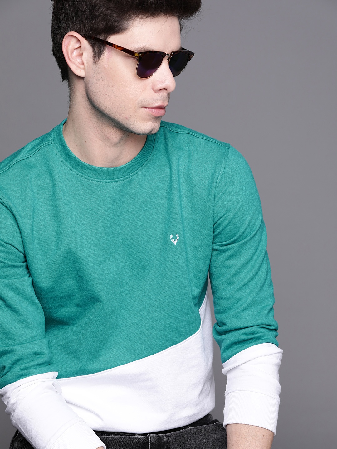 

Allen Solly Men Blue & White Colourblocked Sweatshirt