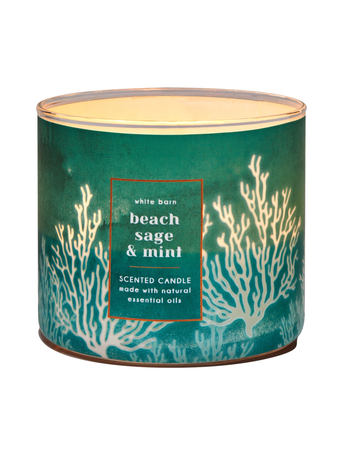

Bath & Body Works Beach Sage & Mint 3-Wick Scented Candle 411g, Green