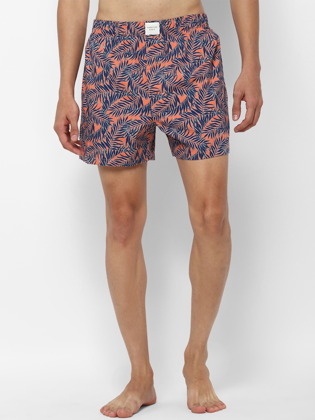 

AMERICAN EAGLE OUTFITTERS Men Peach & Blue Printed Boxers WEC0231412199