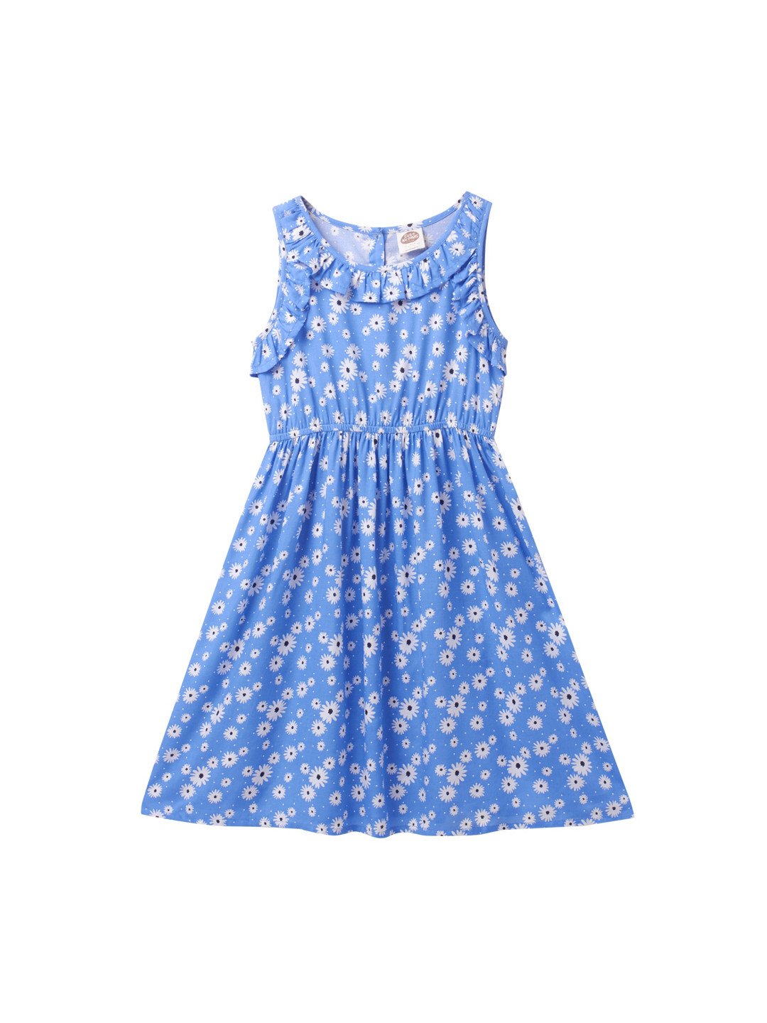 

Cub McPaws Blue & White Floral Printed Fit & Flared Dress