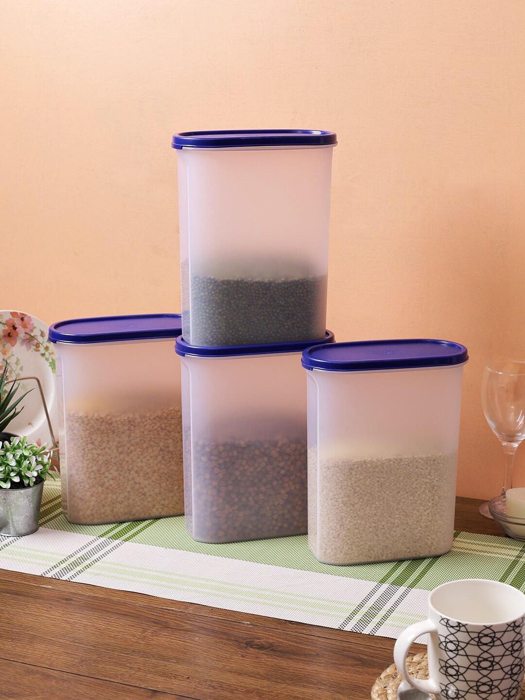 

Abode Set of 4 Transparent & Blue Solid Kitchen Storage Container