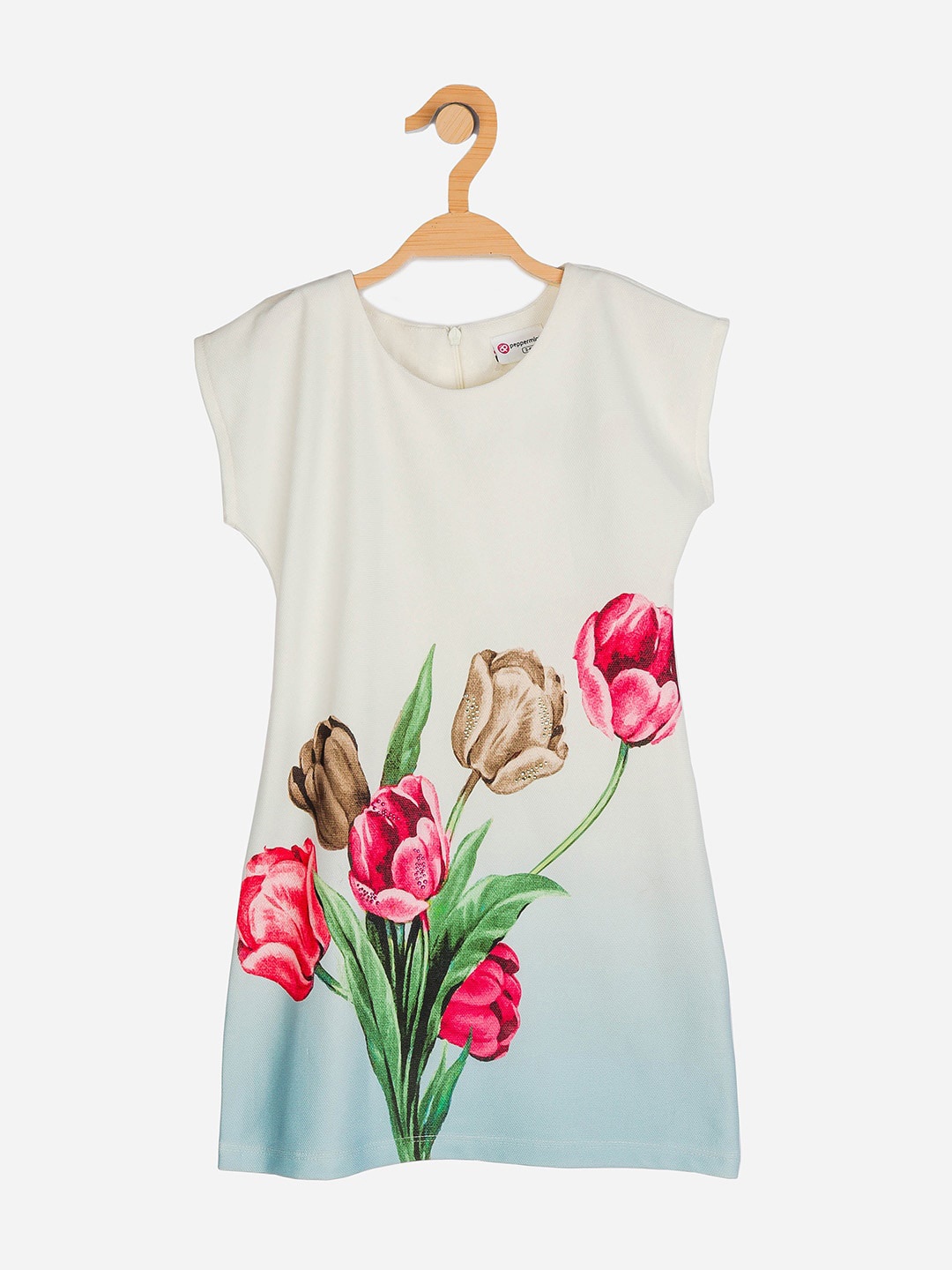 

Peppermint Off White & Pink Floral A-Line Dress