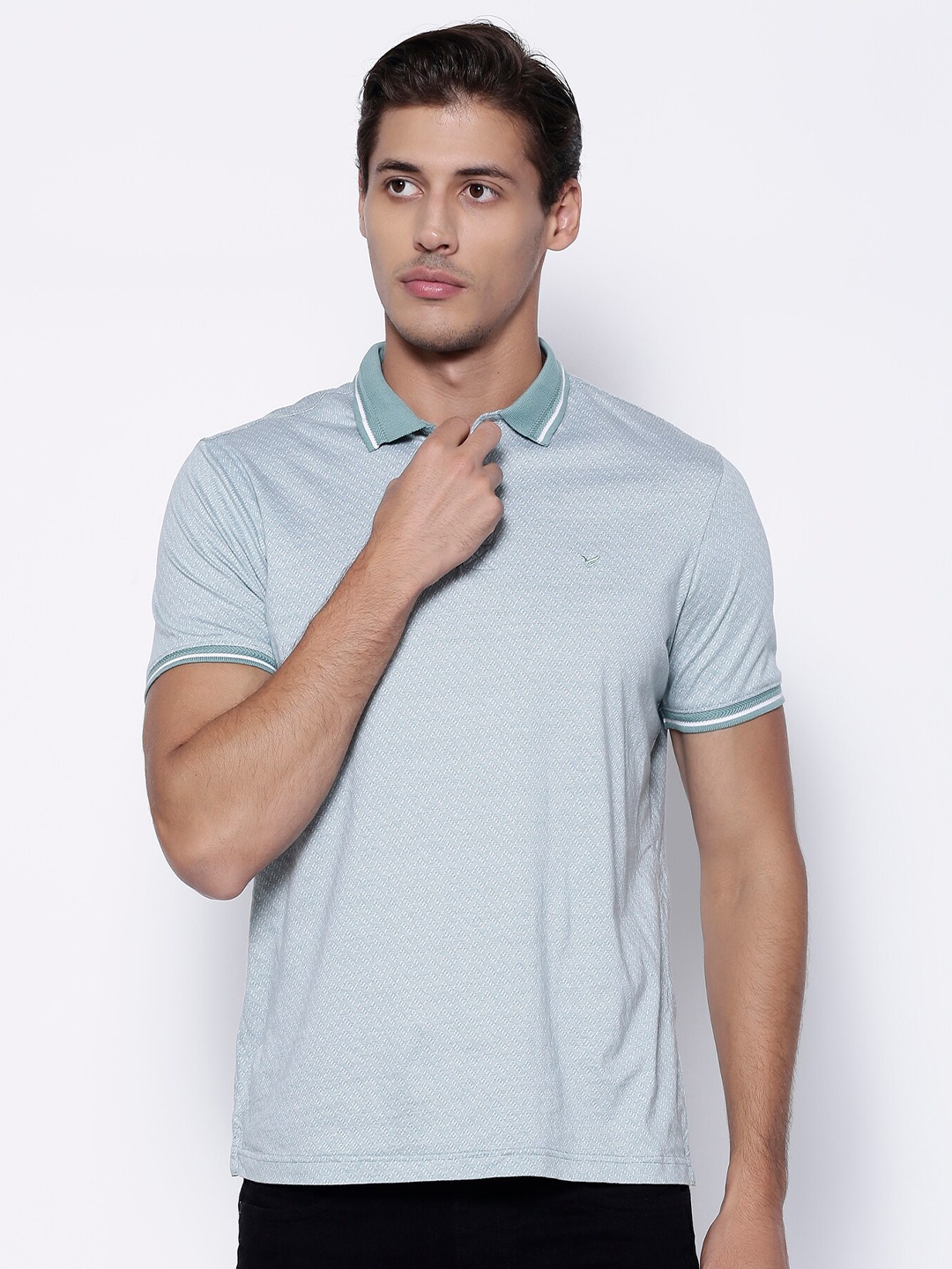 

Blackberrys Men Green Polo Collar Slim Fit Cotton Pure Cotton T-shirt