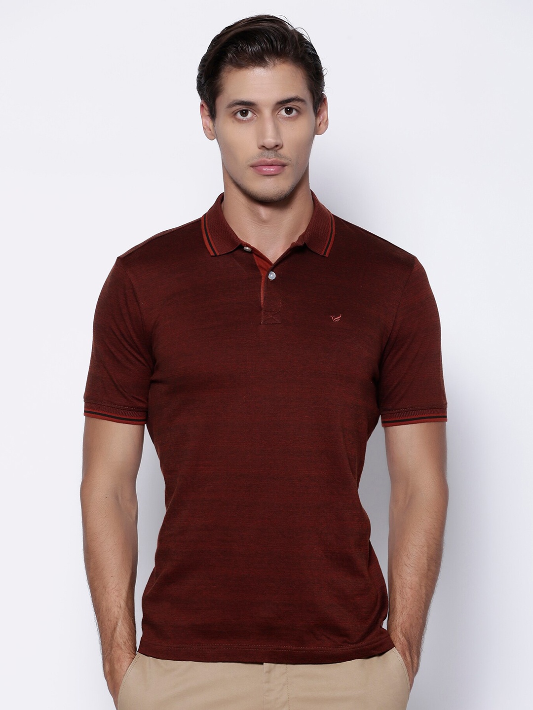 

Blackberrys Men Brown Polo Collar Slim Fit Cotton Pure Cotton T-shirt
