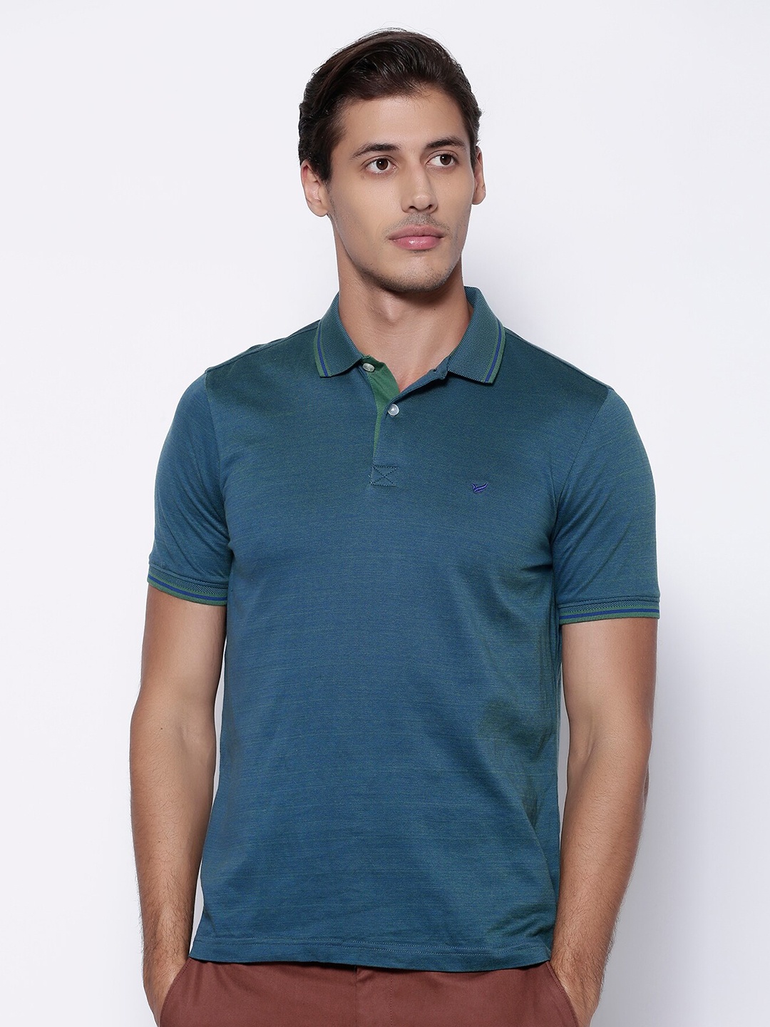 

Blackberrys Men Green Blue Polo Collar Slim Fit Cotton Pure Cotton T-shirt