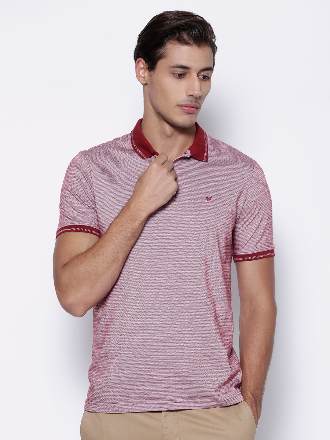 

Blackberrys Men Mercerized Polo Tshirt, Maroon
