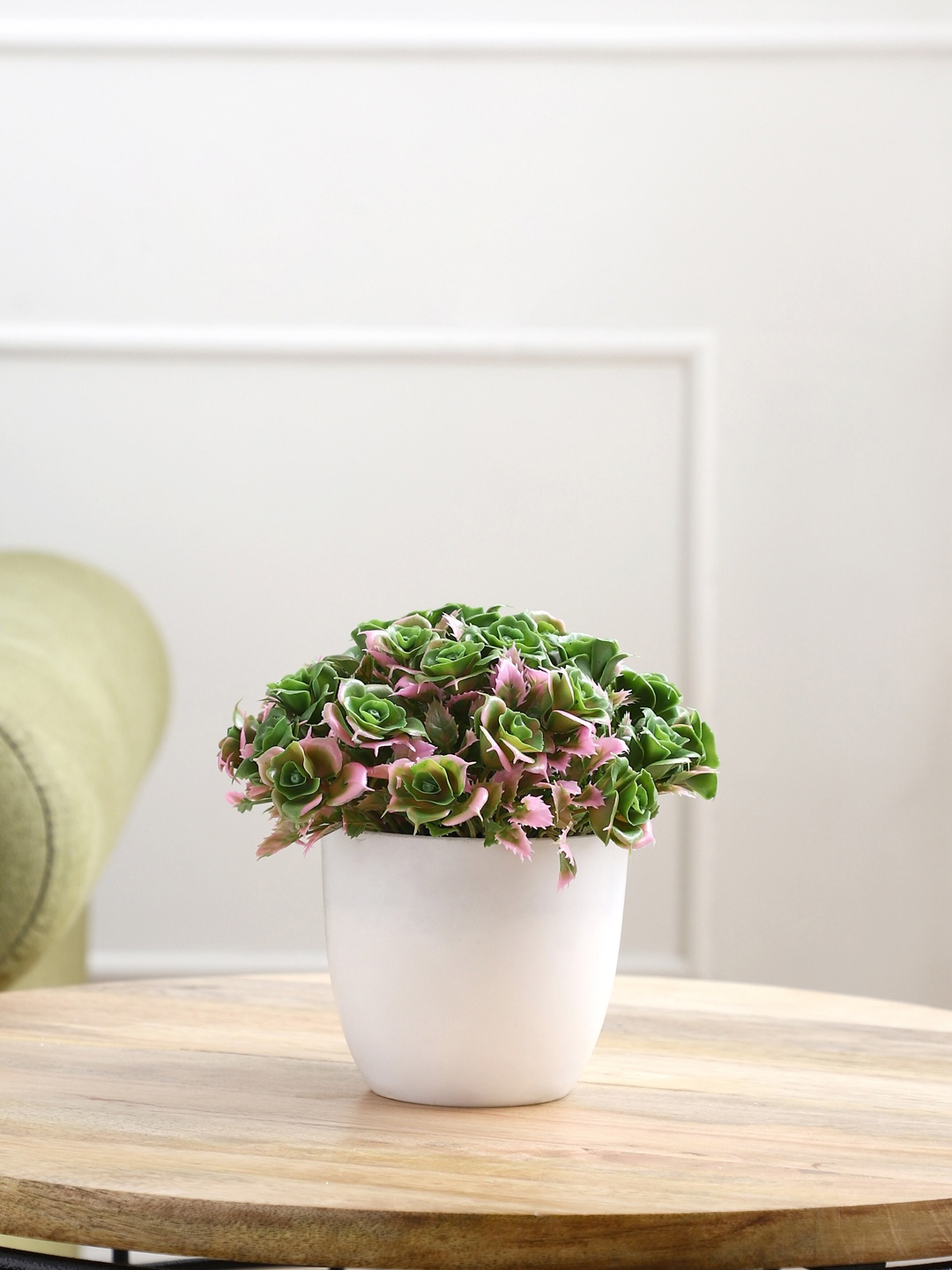 

FOLIYAJ Green & White Artificial Rose Plant with Pot