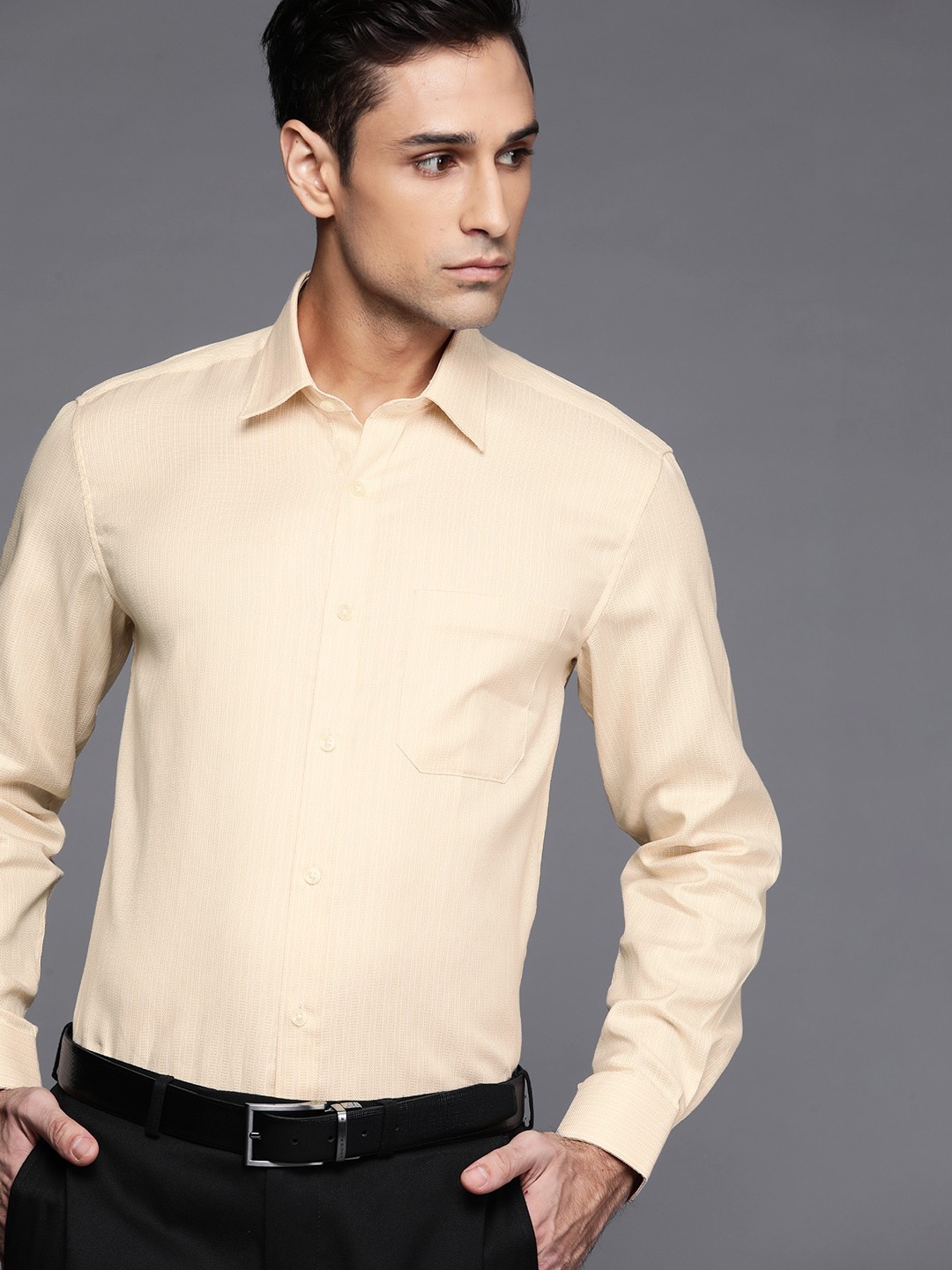 

Louis Philippe Men Beige Pure Cotton Slim Fit Striped Formal Shirt