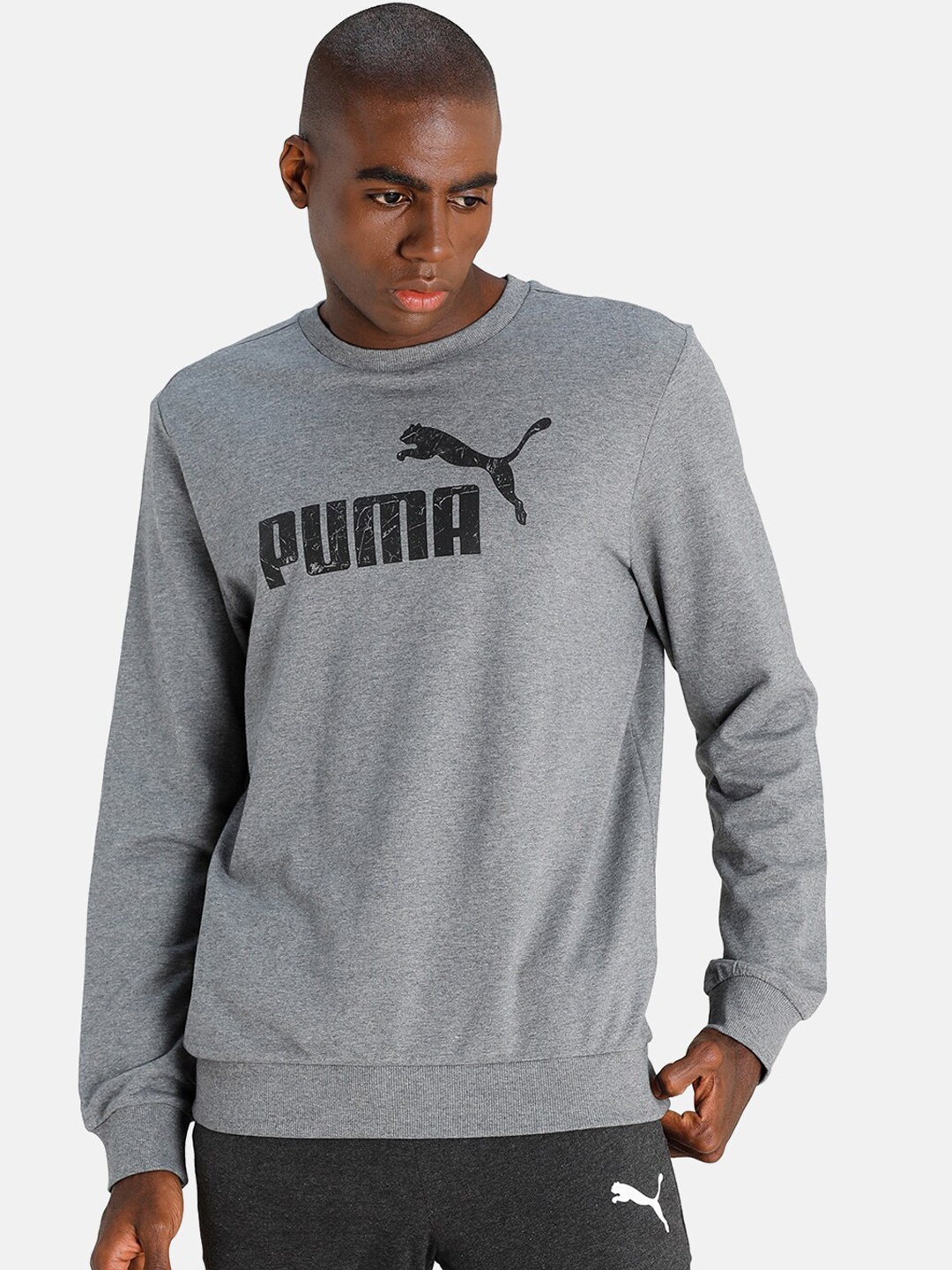 

Puma Men Grey Logo Printed Sweatshirt
