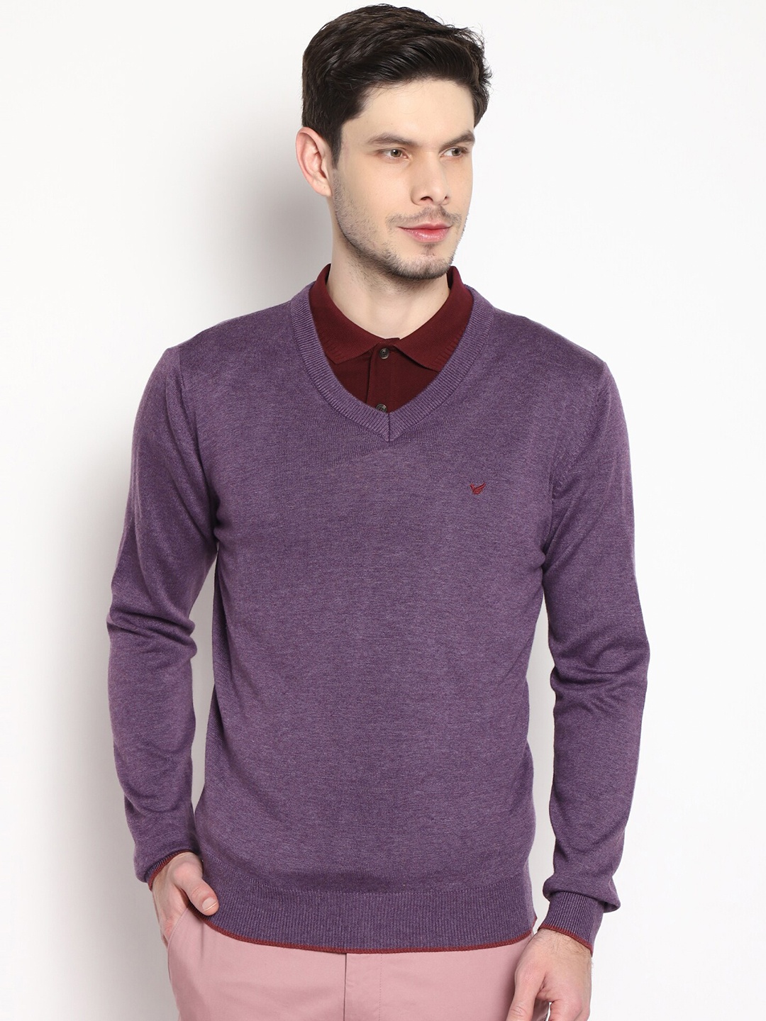 

Blackberrys Men Purple Solid Pullover Sweater