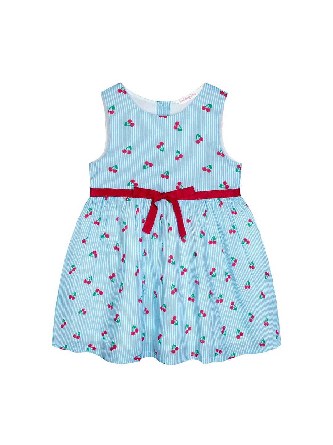 

Budding Bees Blue & Red Floral Dress