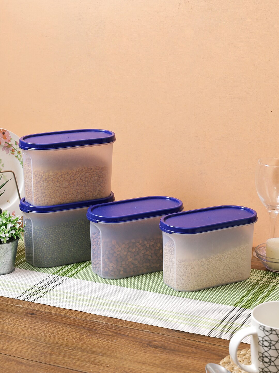 

Abode Set Of 4 Transparent & Blue Plastic Airtight Food Container