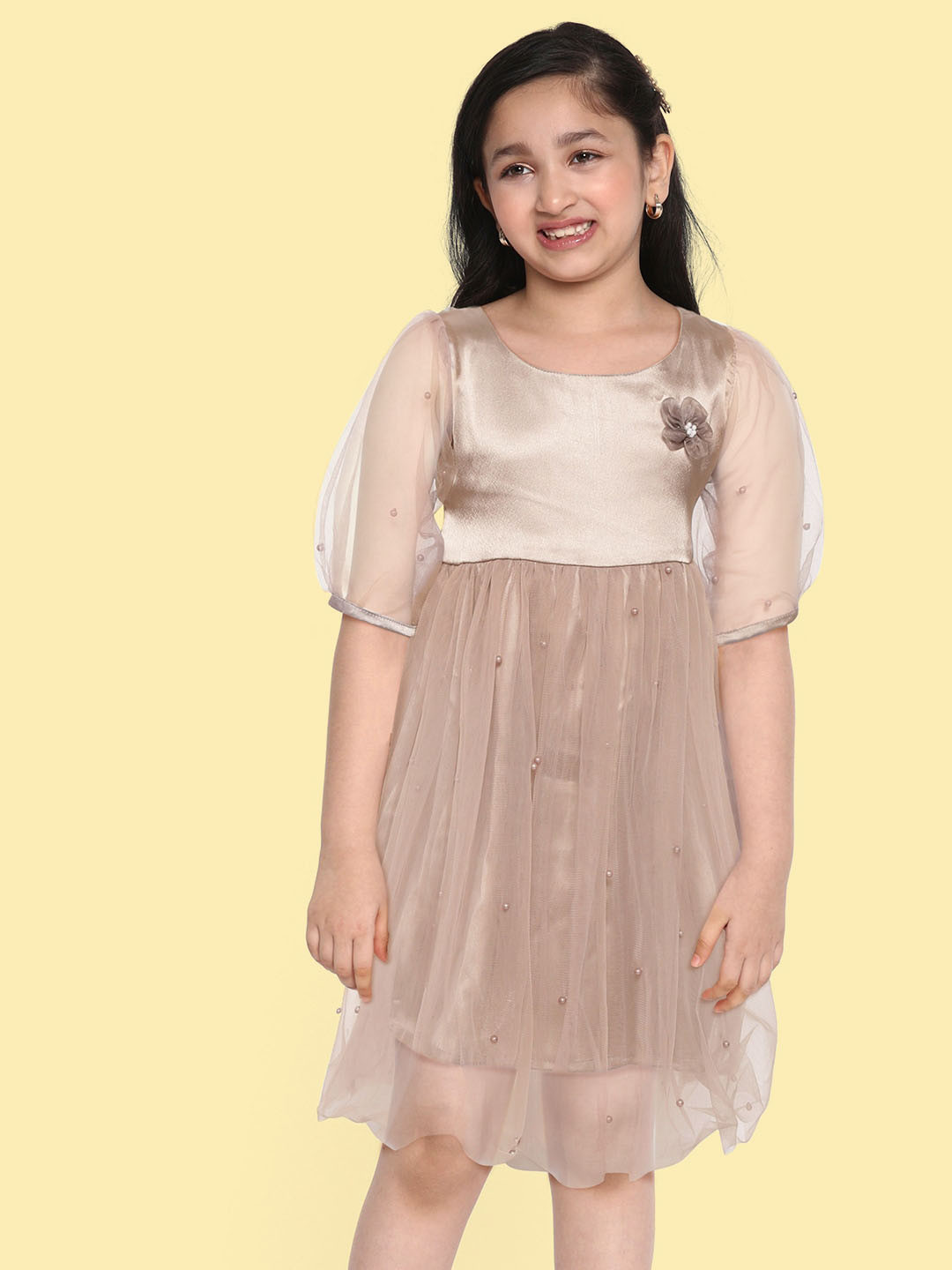 

Bella Moda Grey & Brown Colourblocked Net Dress