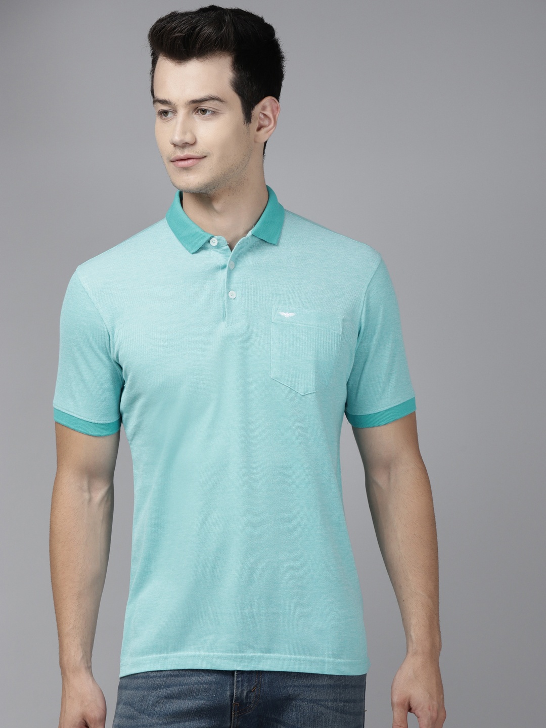 

Park Avenue Men Blue Solid Polo Collar Slim Fit T-shirt
