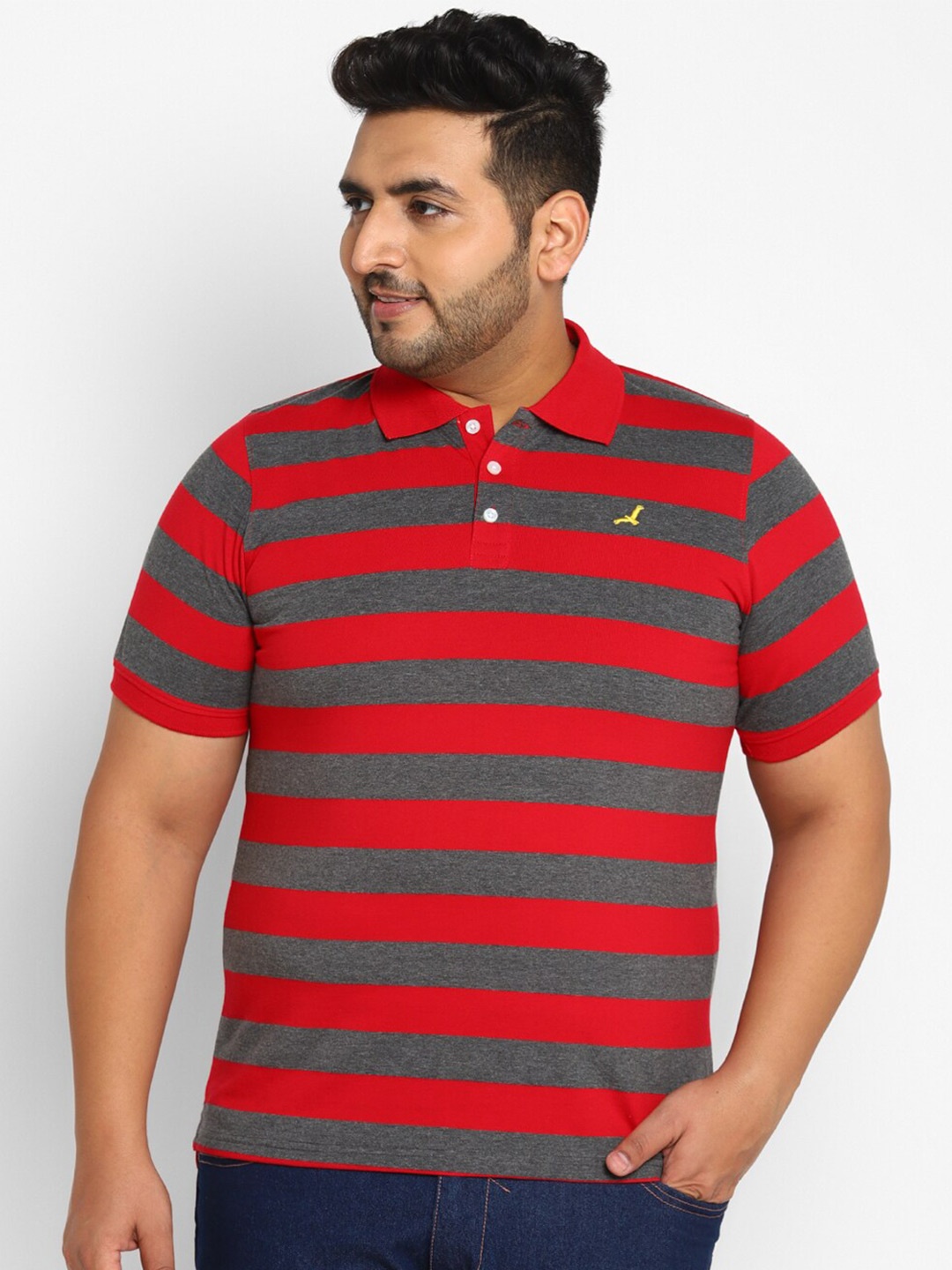 

American Crew Plus Men Red & Grey Striped Polo Collar T-shirt