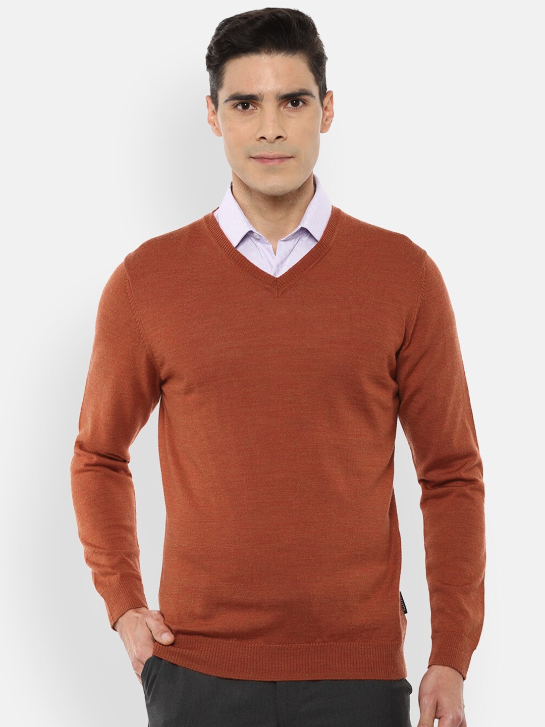 

Van Heusen Men Brown Solid V-neck Pullover