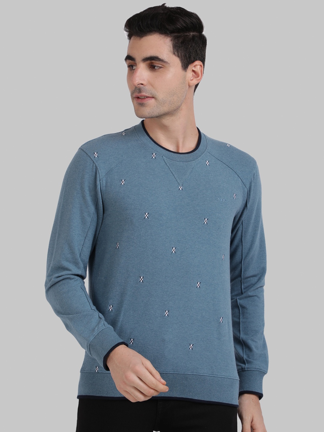 

ColorPlus Men Blue Printed Pullover
