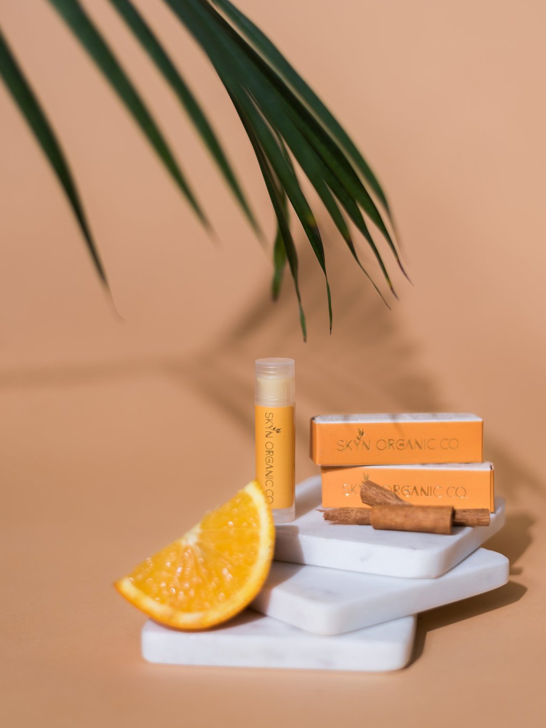 

Skyn Organic Co. Women Orange And Cinnamon Lip Balm 6 gm