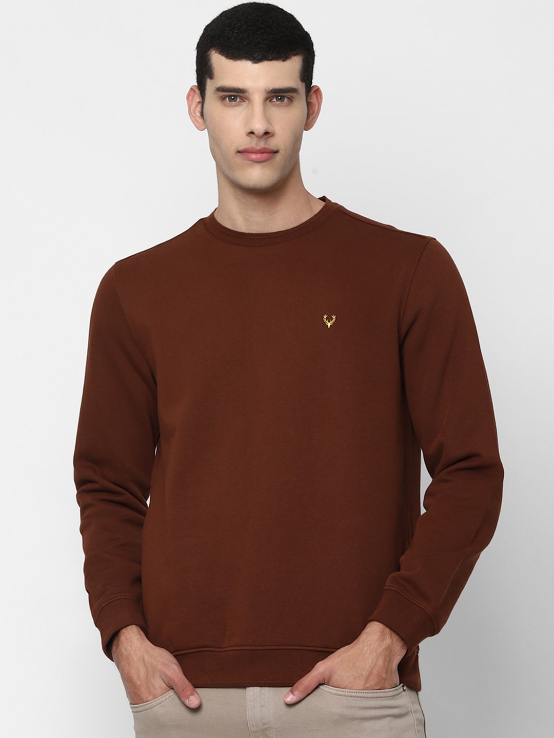 

Allen Solly Men Brown Sweatshirt