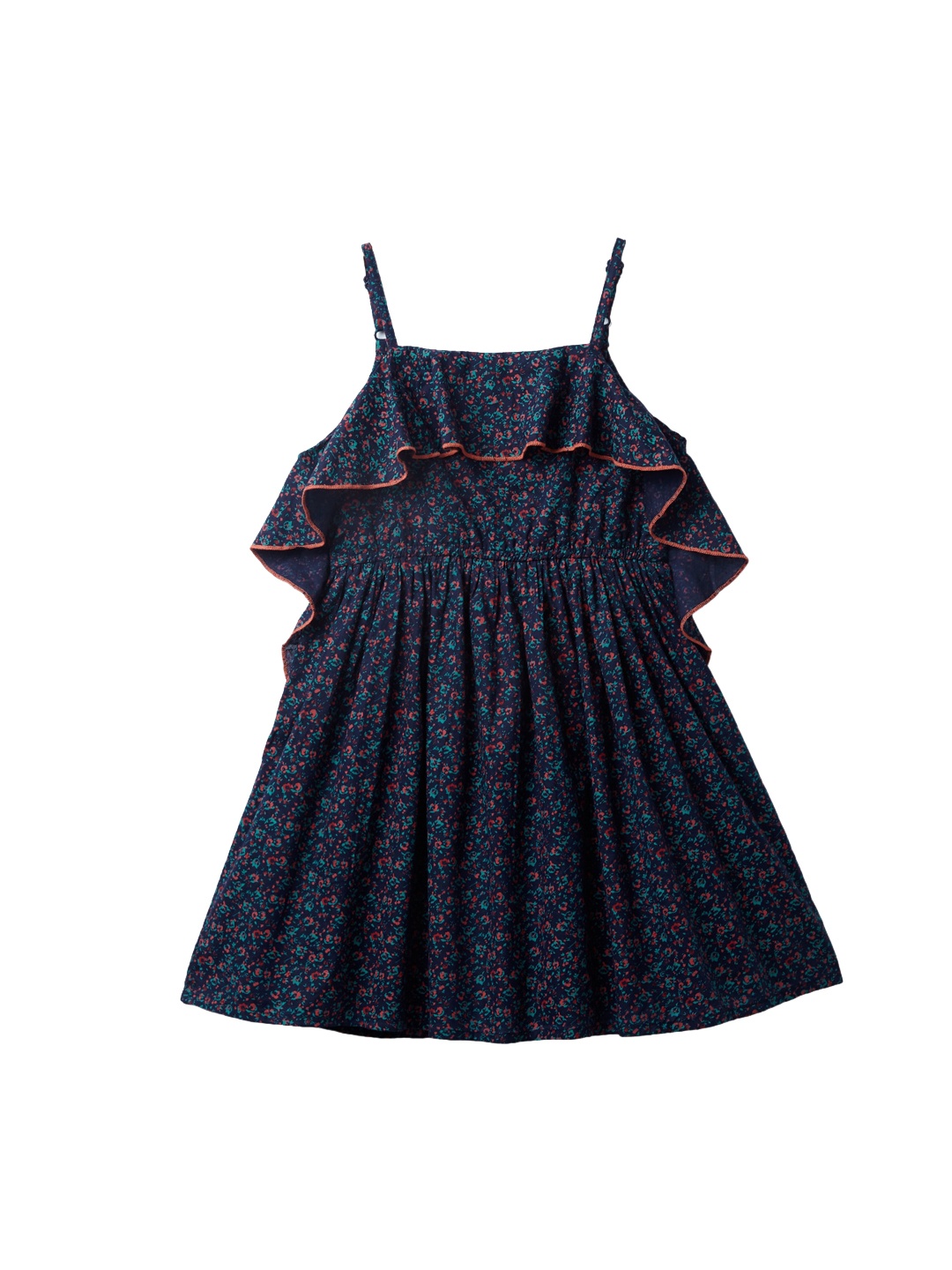 

Cub McPaws Girls Blue Floral Printed Fit and Flare Dress