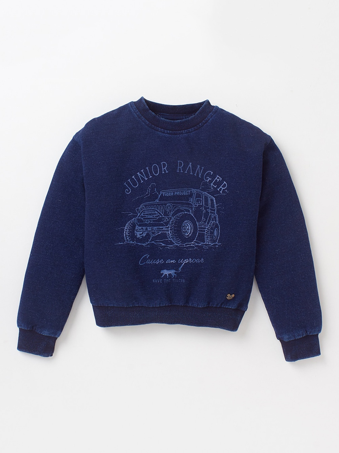 

Ed-a-Mamma Boys Blue Printed Sweatshirt