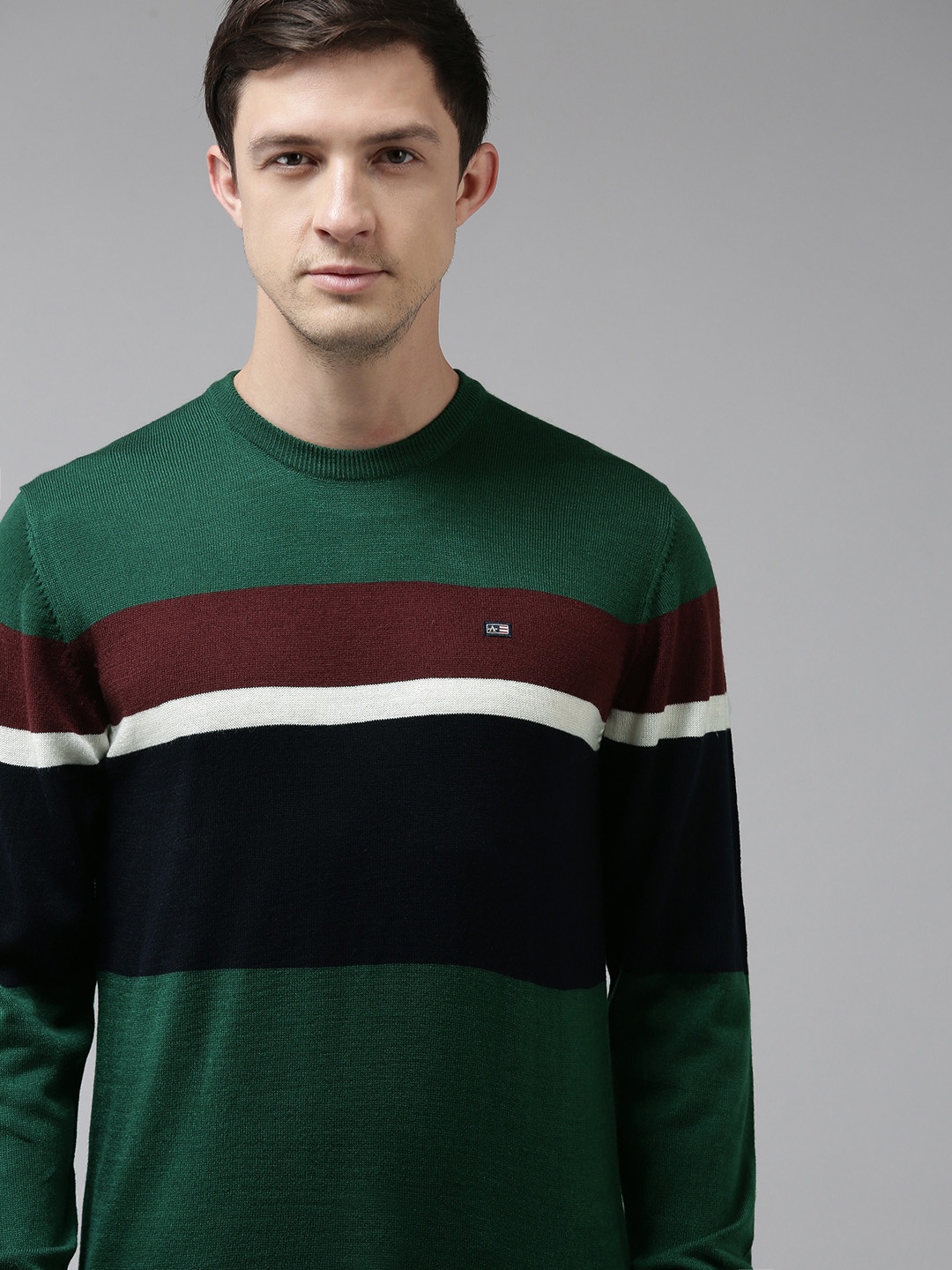 

Arrow Men Green & Black Colourblocked Engineered Pullover Sweater