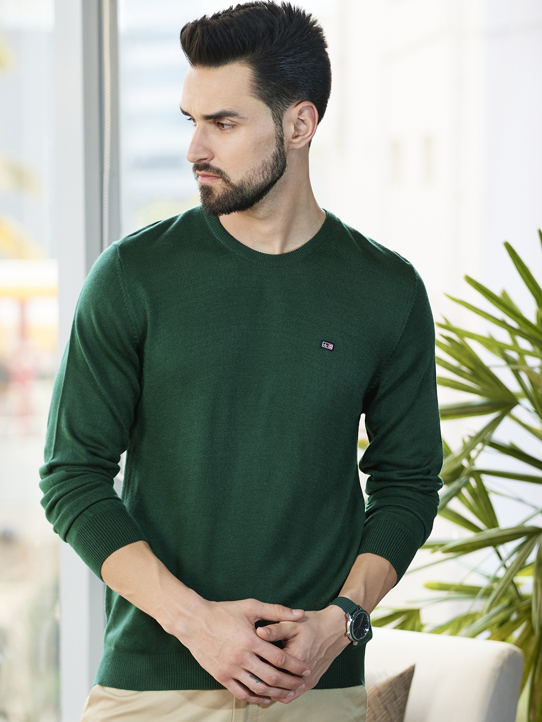 

Arrow Men Green Solid Pullover Sweater