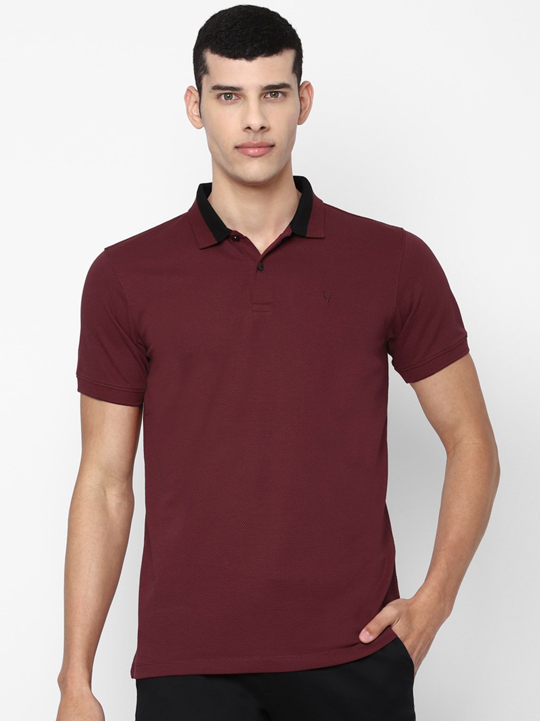 

Allen Solly Men Maroon Polo Collar T-shirt