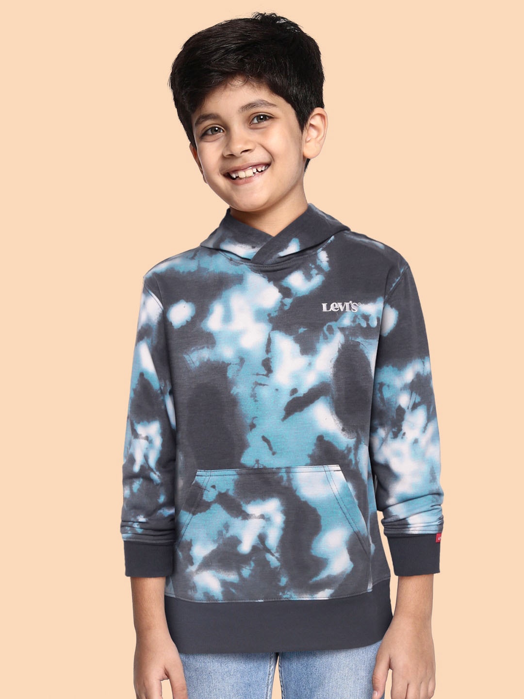 

Levis Boys Blue Printed Hooded Sweatshirt