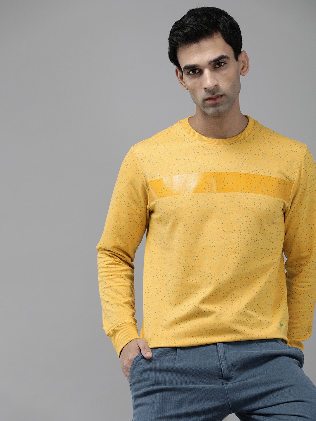 

Park Avenue Long Sleeves Conversational Printed Sweatshirt, Yellow