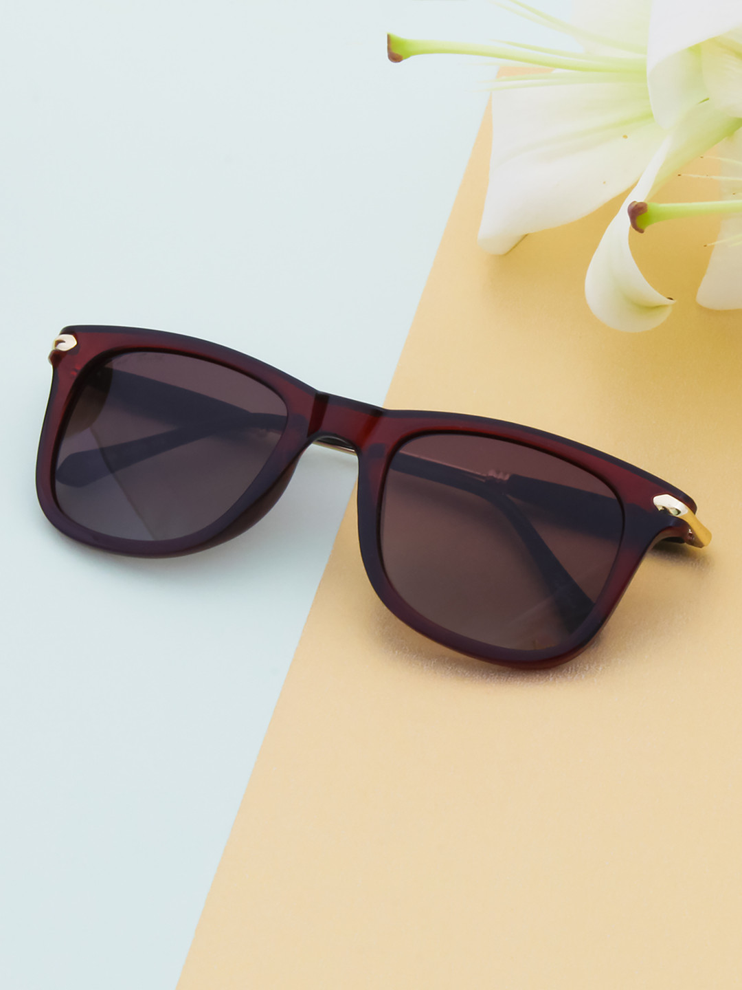 

Ted Smith Unisex Brown Lens & Brown Wayfarer Sunglasses with Polarised Lens CLUBEX_C4
