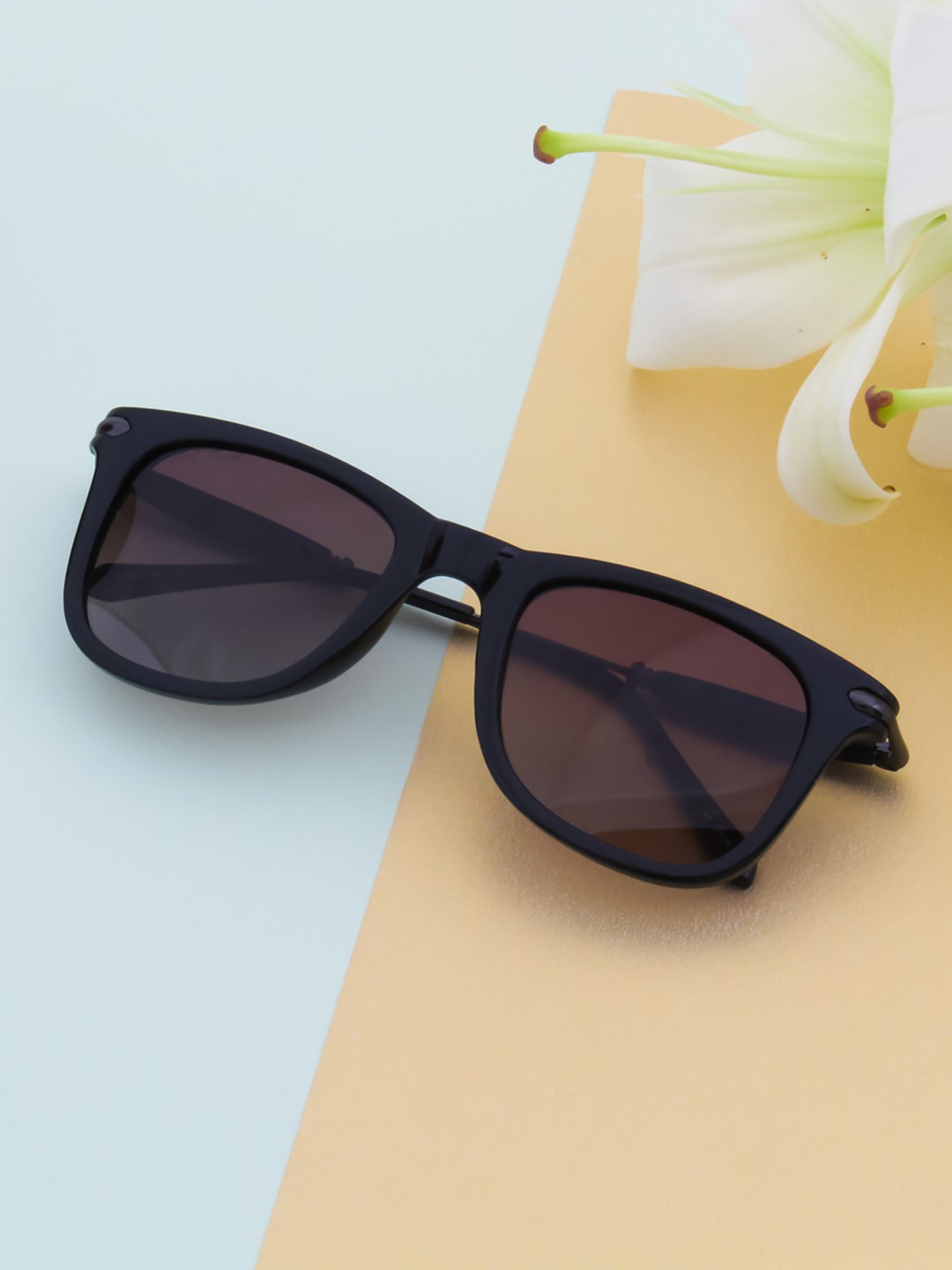 

Ted Smith Unisex Brown Lens & Black Wayfarer Sunglasses with Polarised Lens CLUBEX_C6
