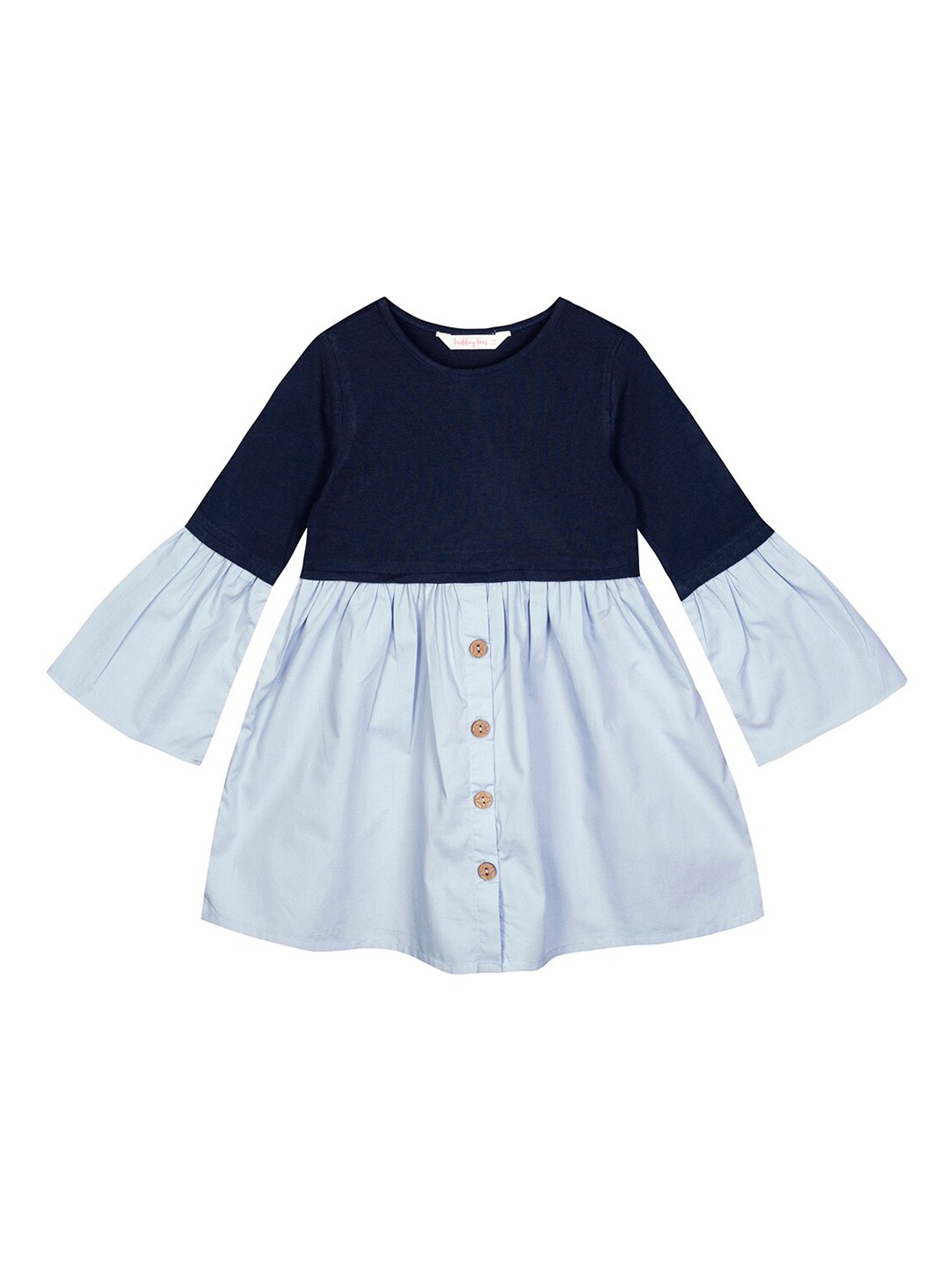 

Budding Bees Blue Colourblocked Dress