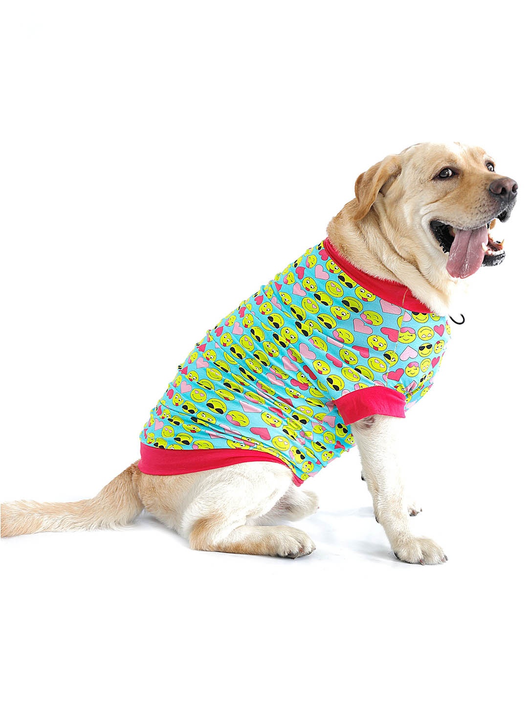 

Dchica Paws Blue & Yellow Graphic Printed Handmade Cotton Dog Tshirt
