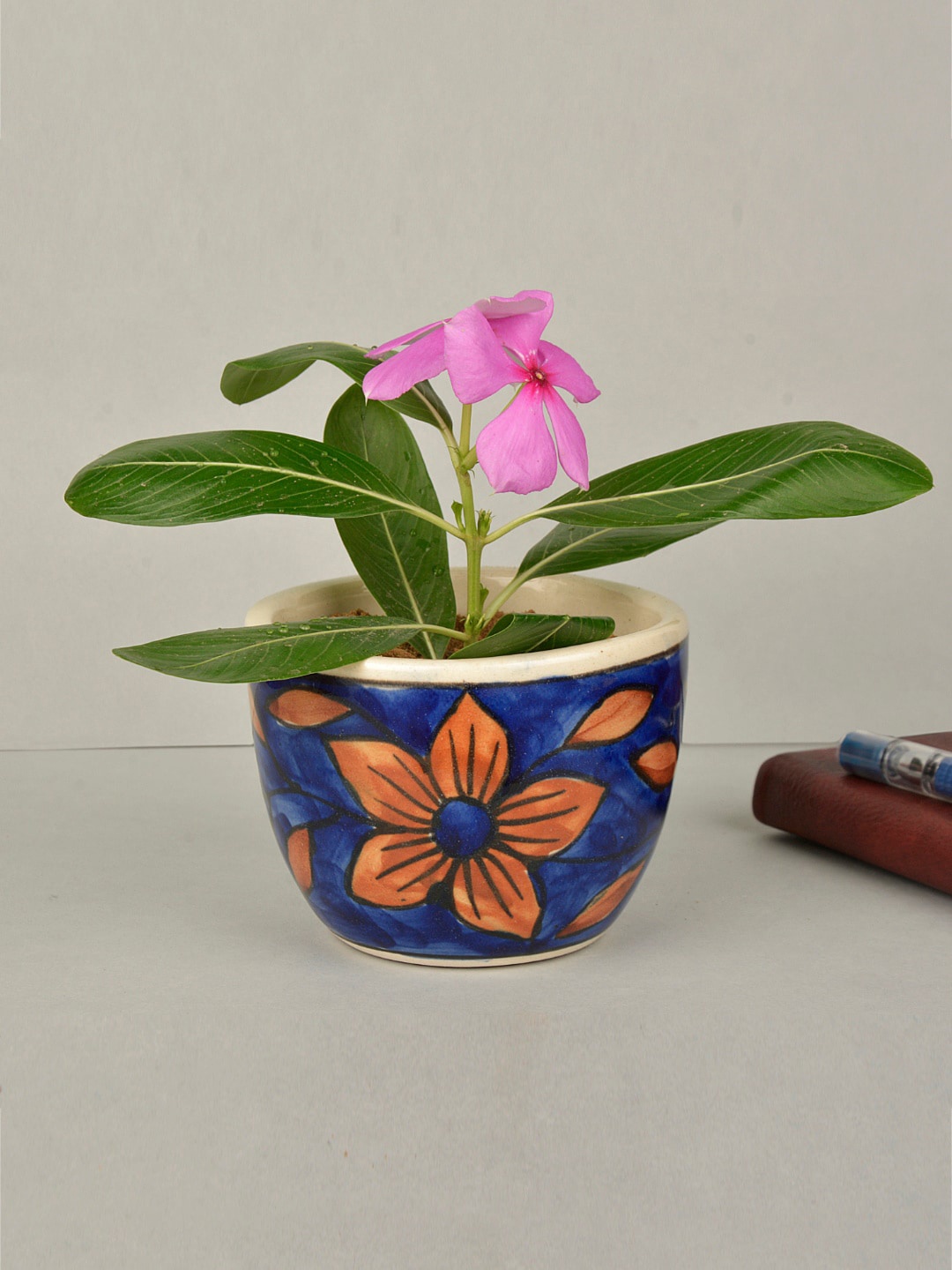 

StyleMyWay Blue & Brown Hand Painted Ceramic Planter With Tray