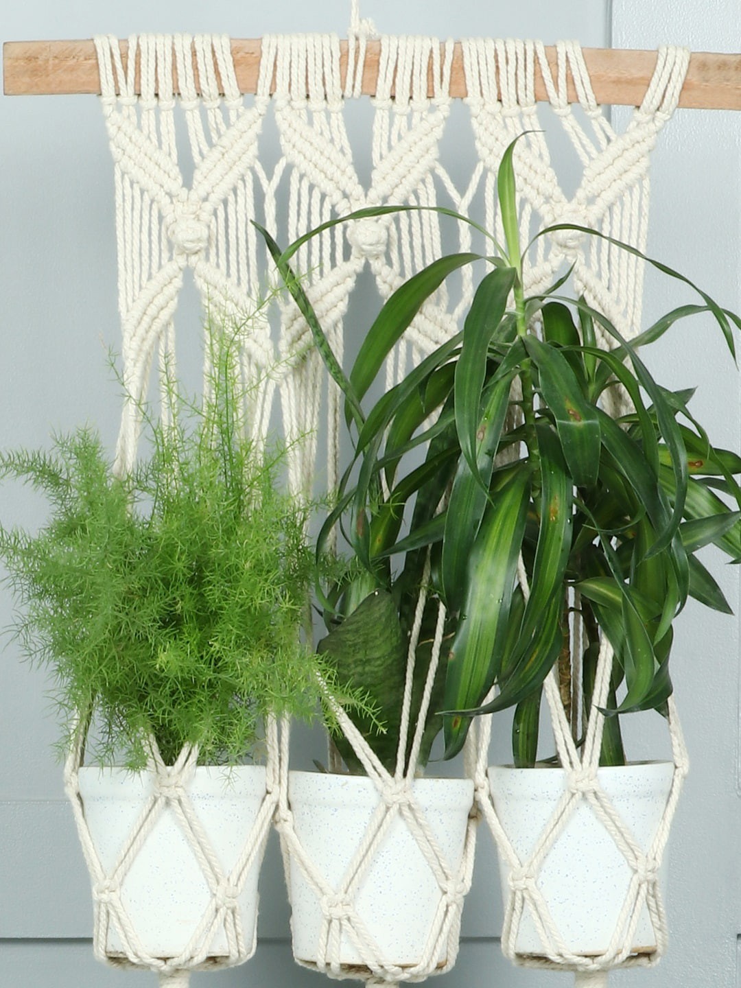 

BELLA TRUE Cream Triple Plant Holder