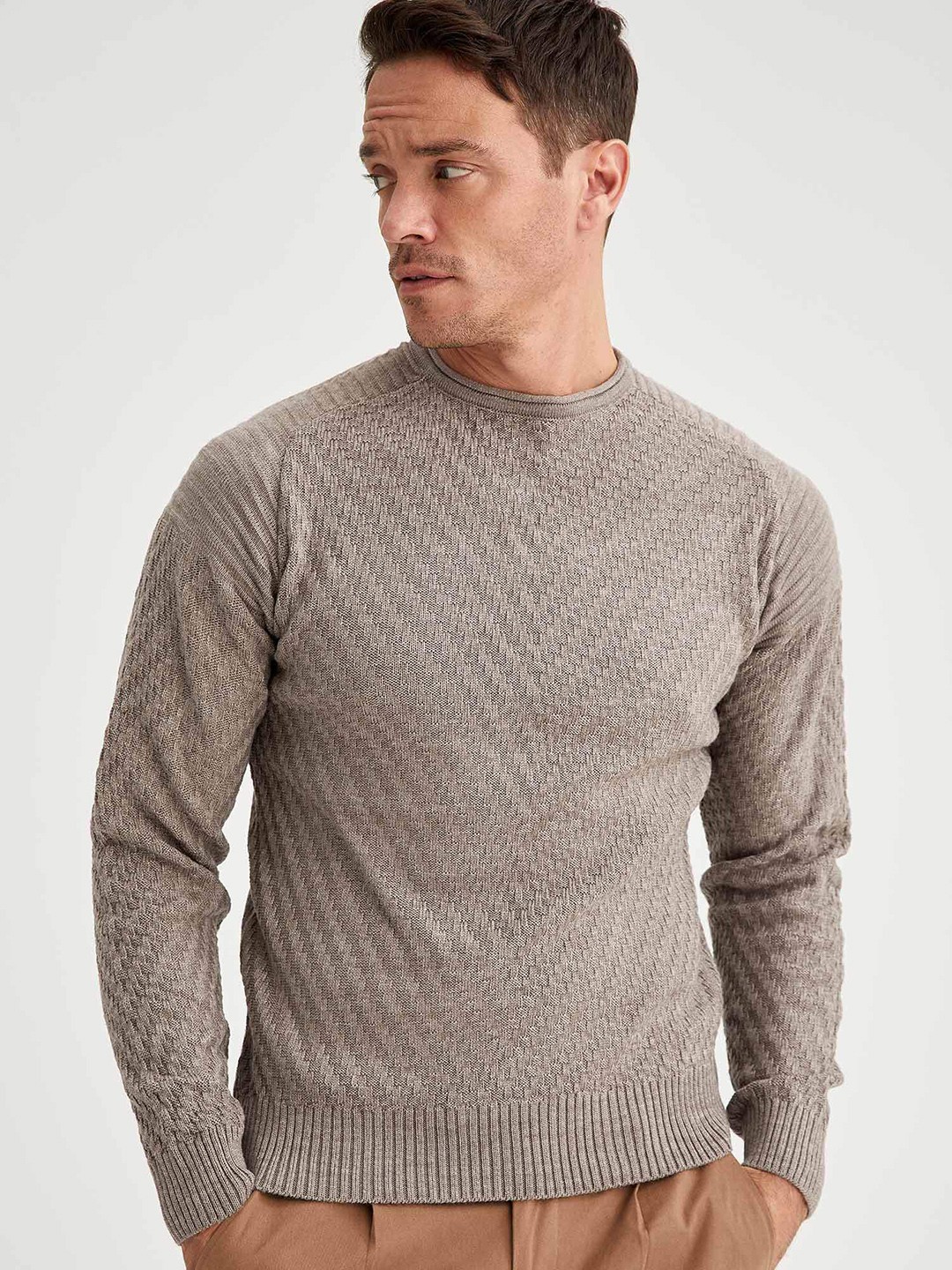 

DeFacto Men Beige Slim Fit Self Design Pullover