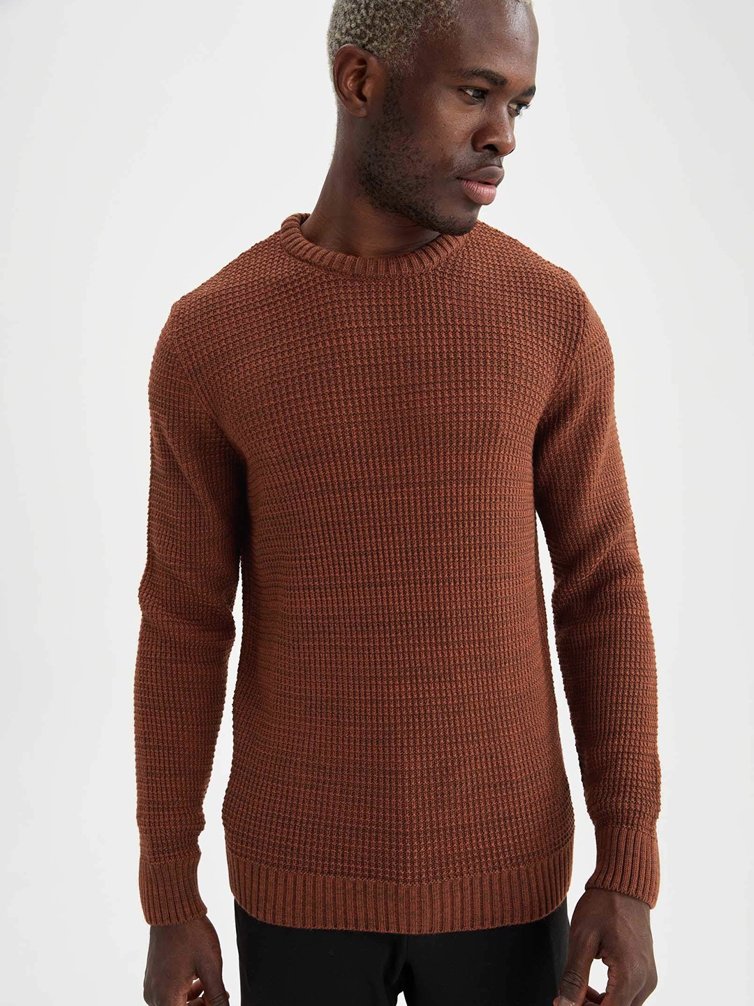 

DeFacto Men Rust Orange Slim Fit Solid Pullover