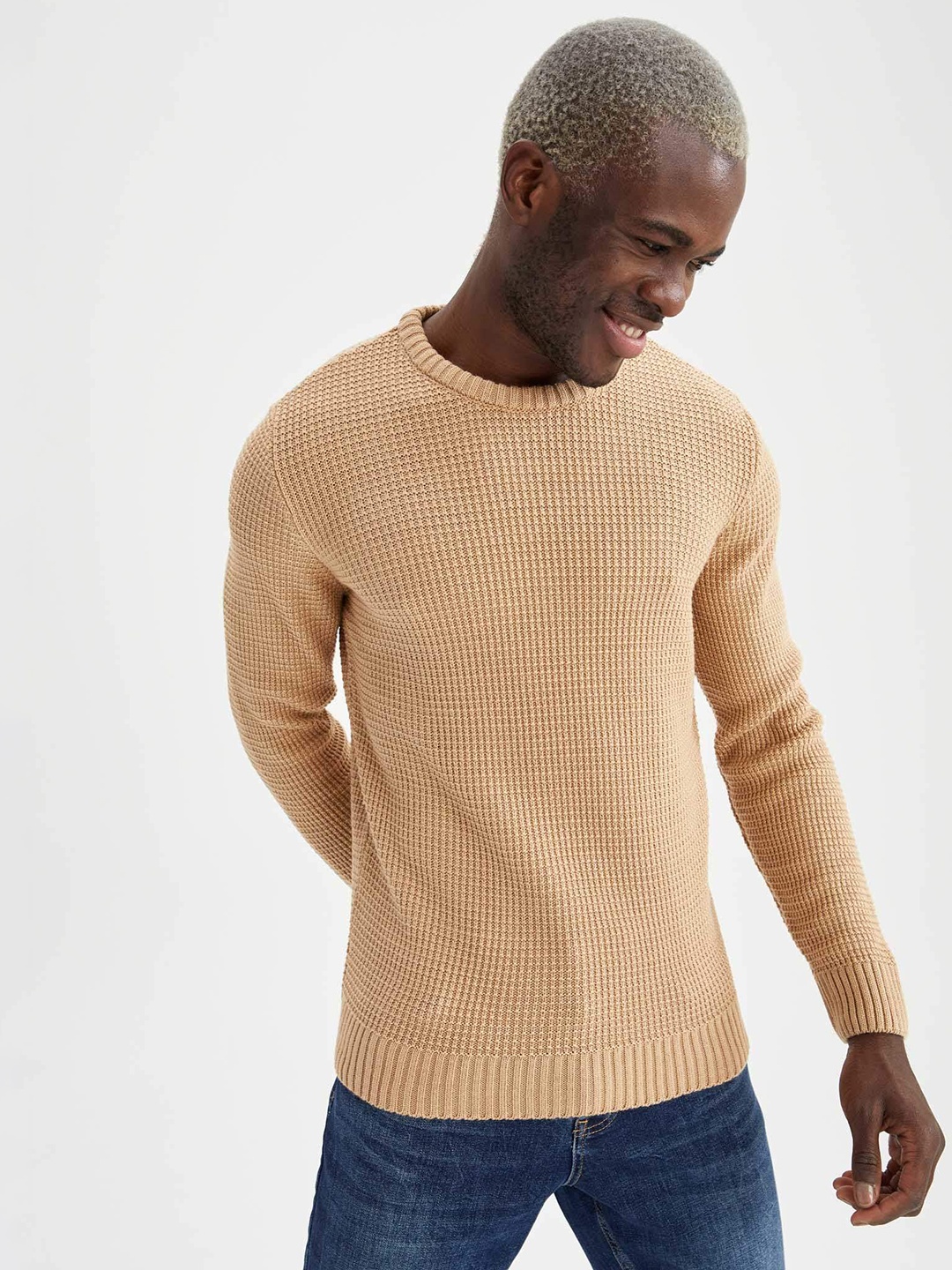 

DeFacto Men Beige Slim Fit Pullover