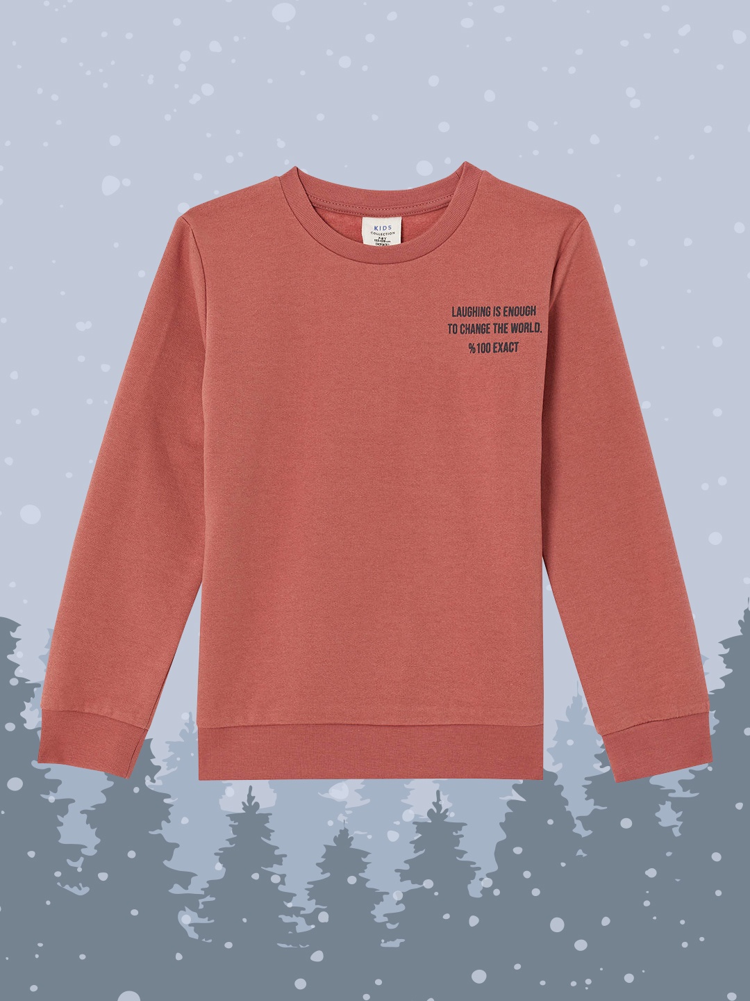 

DeFacto Boys Dark Peach-Coloured Printed Back Sweatshirt