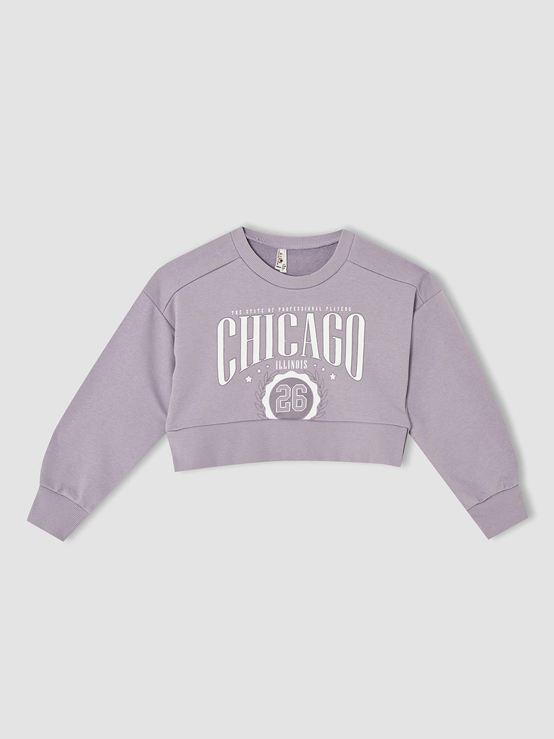 

DeFacto Girls Lavender & White Typography Print Crop Sweatshirt