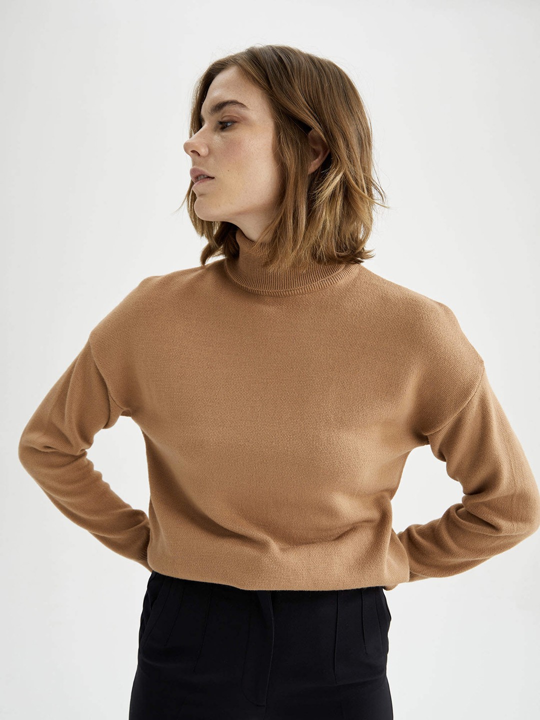 

DeFacto Women Brown Solid Longline Turtle Neck Pullover Sweater