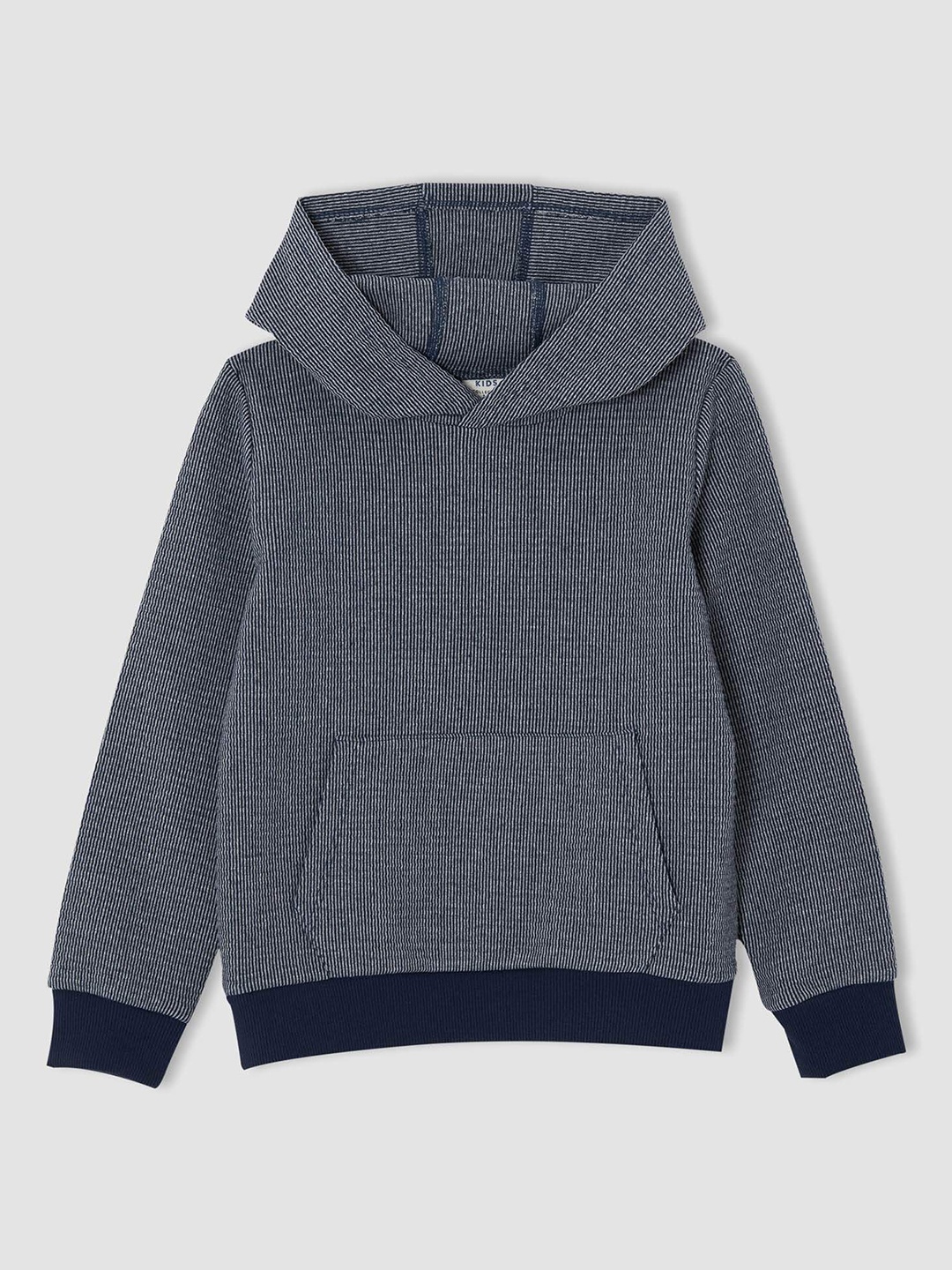 

DeFacto Boys Navy Blue & Grey Melange Pinstriped Hooded Sweatshirt