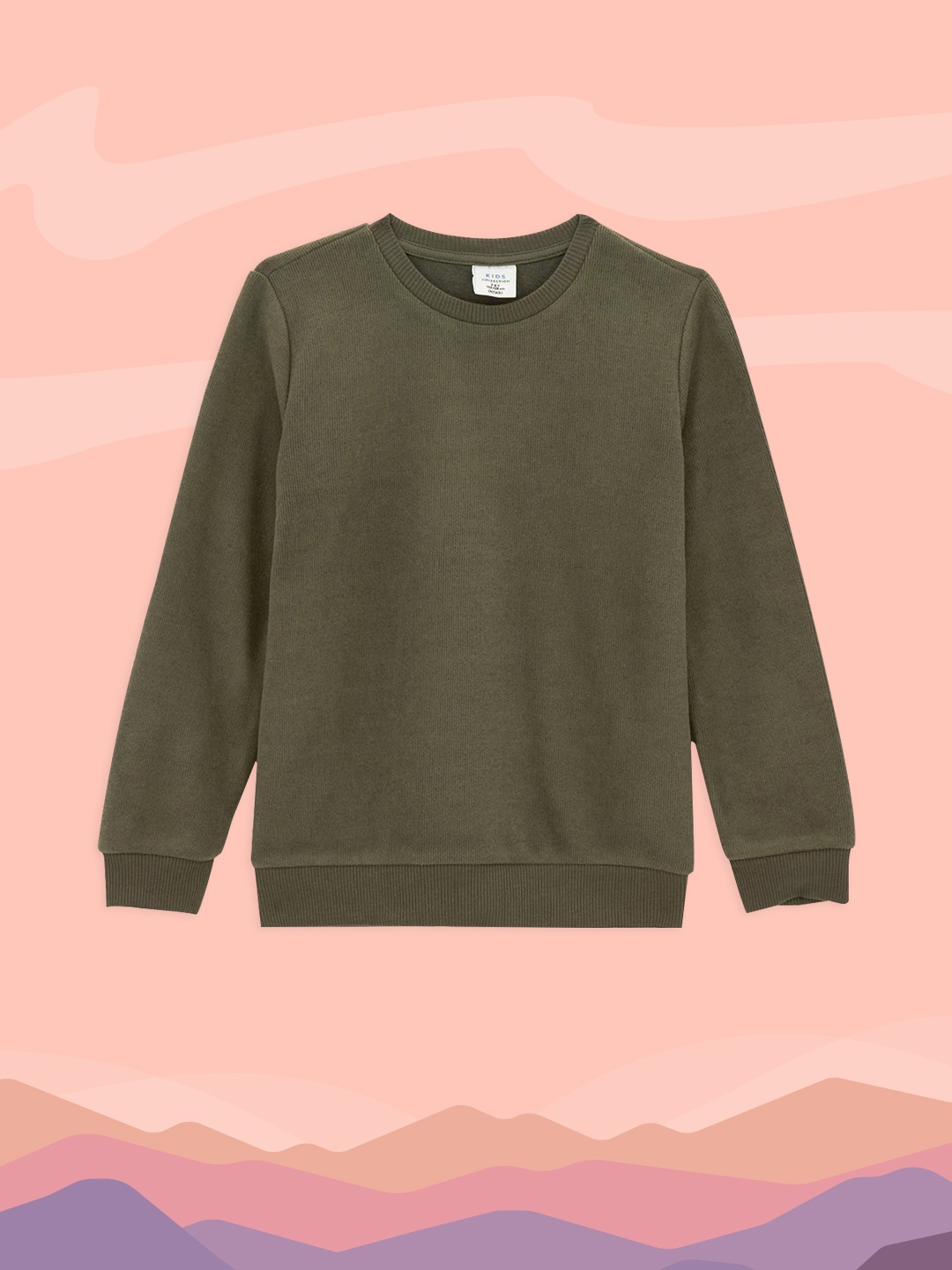 

DeFacto Boys Olive Green Solid Sweatshirt