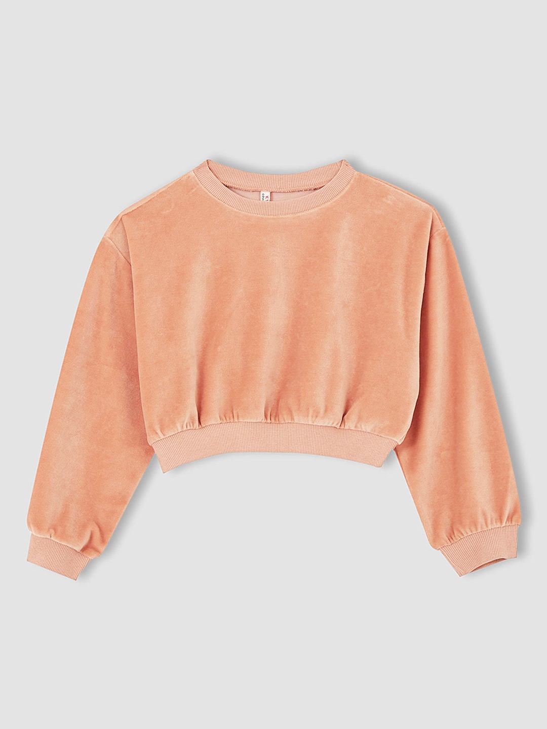 

DeFacto Girls Peach-Coloured Solid Relaxed Fit Velvet Finish Crop Sweatshirt