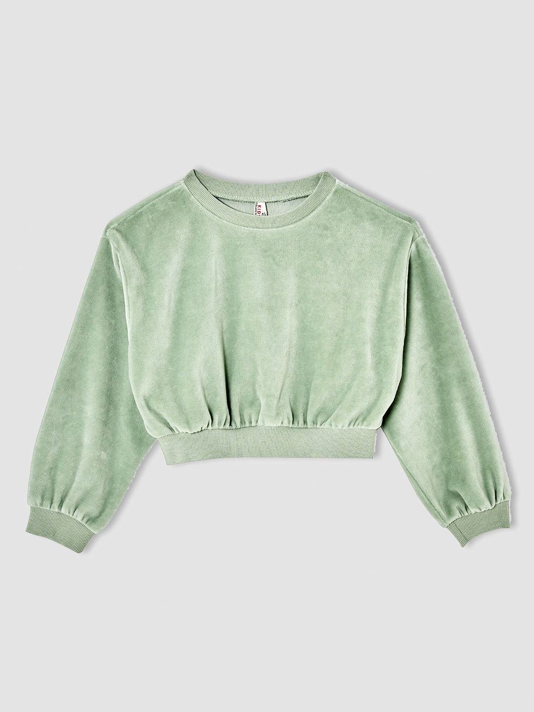 

DeFacto Girls Green Solid Relaxed Fit Velvet Finish Crop Sweatshirt