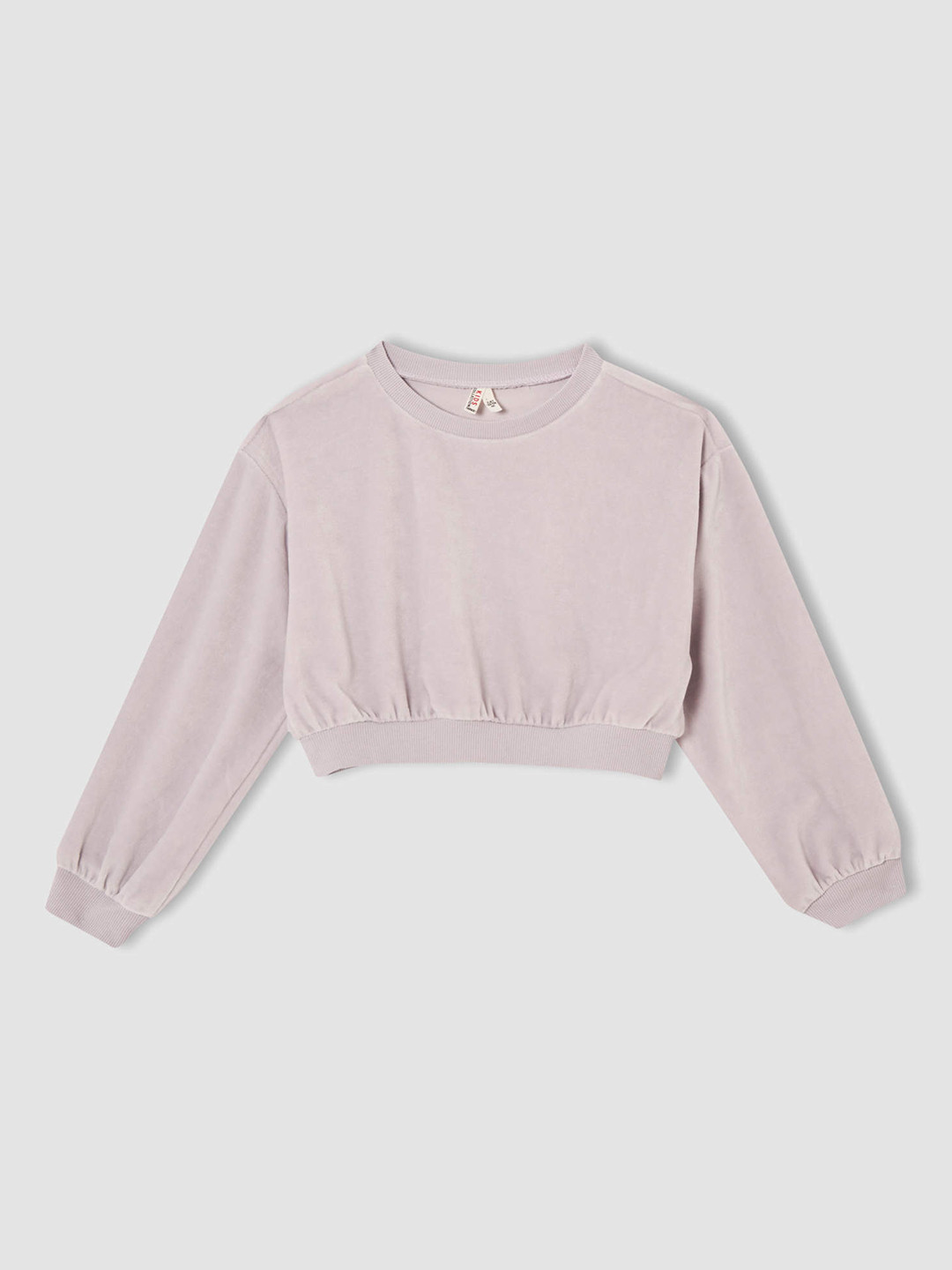 

DeFacto Girls Lavender Solid Relaxed Fit Velvet Finish Crop Sweatshirt